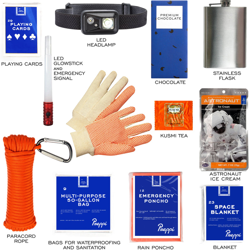 Load image into Gallery viewer, The Prepster Advanced Fireproof Backpack | 3-Day Emergency Kit