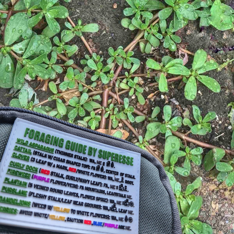 Load image into Gallery viewer, Storage Pocket Patch:  "Foraging Guide", a Plants and Edibles Quick Identification Reference
