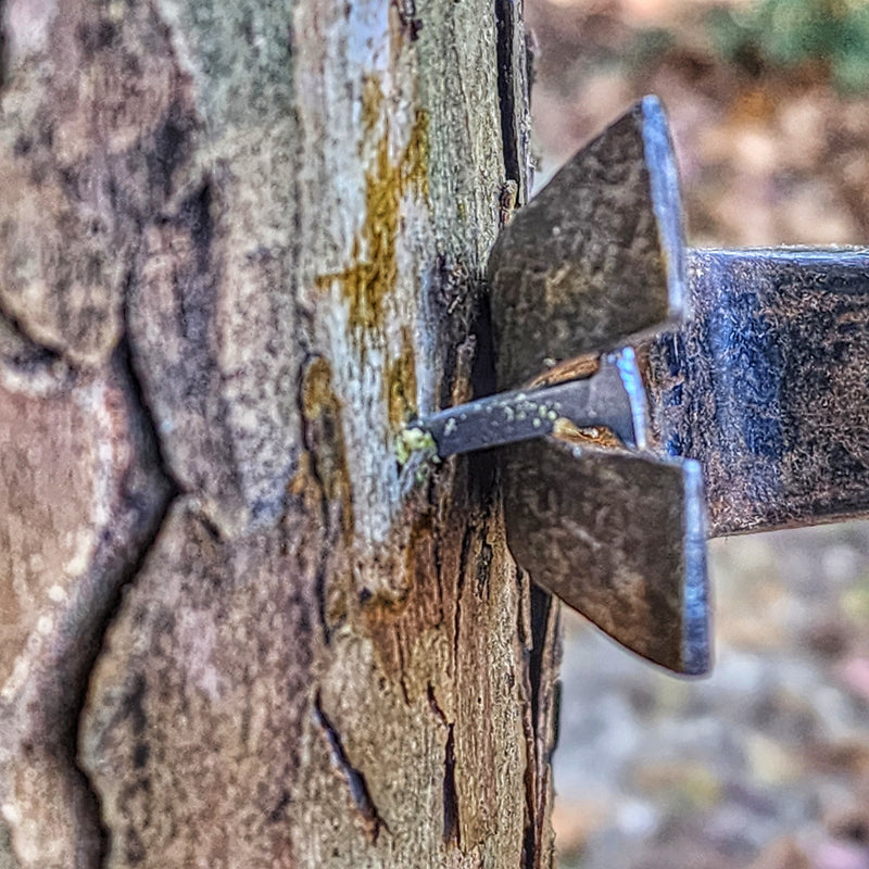 Load image into Gallery viewer, Shelter Nail - Titanium &amp; Steel Wrought Hammering Spike for Trail and Utility Tasks

