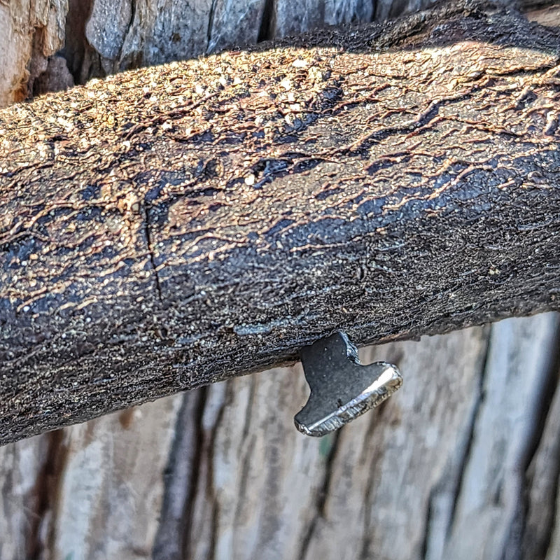 Load image into Gallery viewer, Shelter Nail - Titanium &amp; Steel Wrought Hammering Spike for Trail and Utility Tasks
