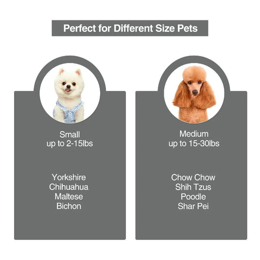 Pet Sofa Couch Bed for Small Dog and Cats