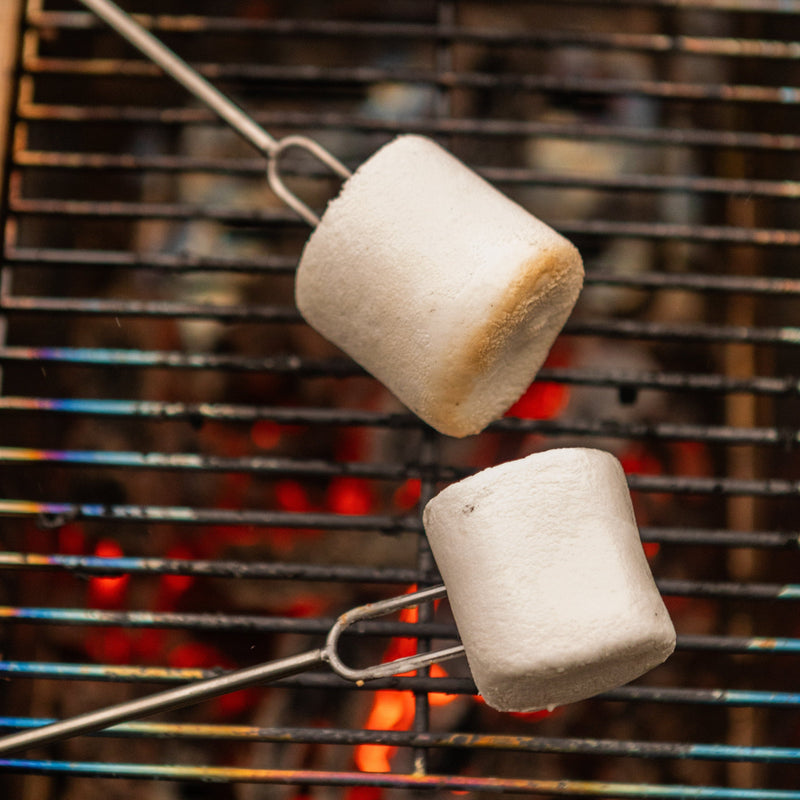Load image into Gallery viewer, Roasting Fork 2-Pack
