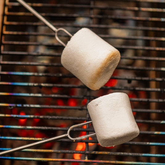 Roasting Fork 2-Pack