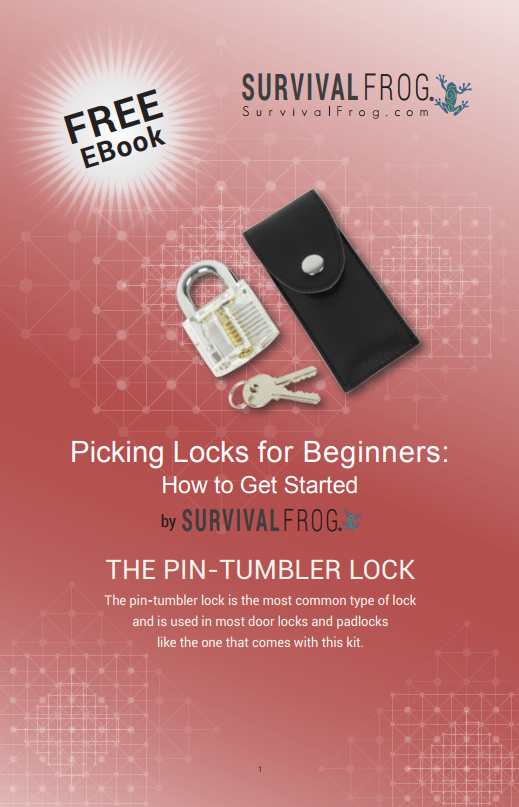Ultimate Access Lock Pick Set