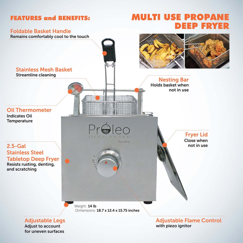 Load image into Gallery viewer, Flame King Proleo Portable Propane Deep Fryer

