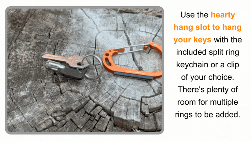 Load image into Gallery viewer, Sparky &amp; Scratch Key
