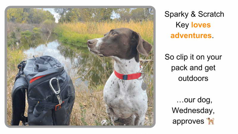 Load image into Gallery viewer, Sparky &amp; Scratch Key
