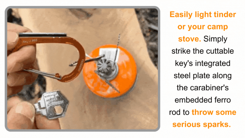 Load image into Gallery viewer, Sparky &amp; Scratch Key
