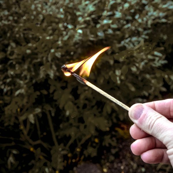 Load image into Gallery viewer, LONG-BURN MATCHES, 50 BOX
