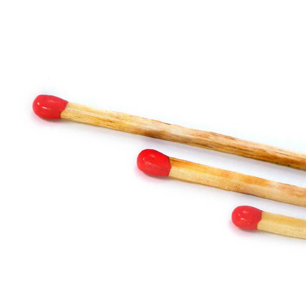 Load image into Gallery viewer, Waterproof Matches, 4-Pack

