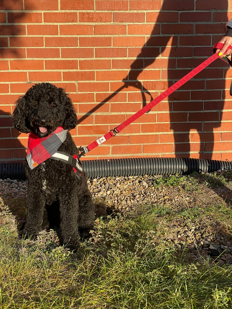 Load image into Gallery viewer, G.O. Overlanding Dog Leash
