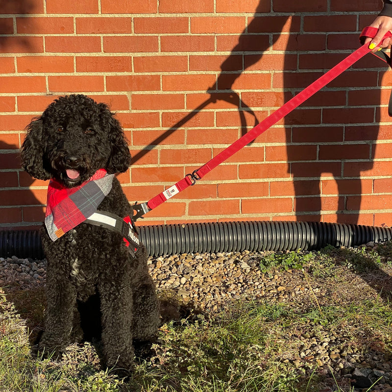 Load image into Gallery viewer, G.O. Overlanding Dog Leash
