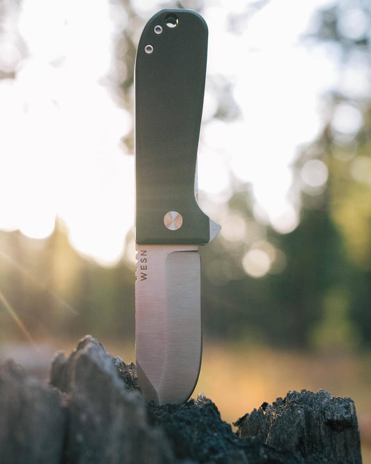 WESN: The Allman