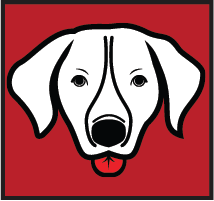 Load image into Gallery viewer, Yankum Ropes 5 Ft Dog Winch Leash
