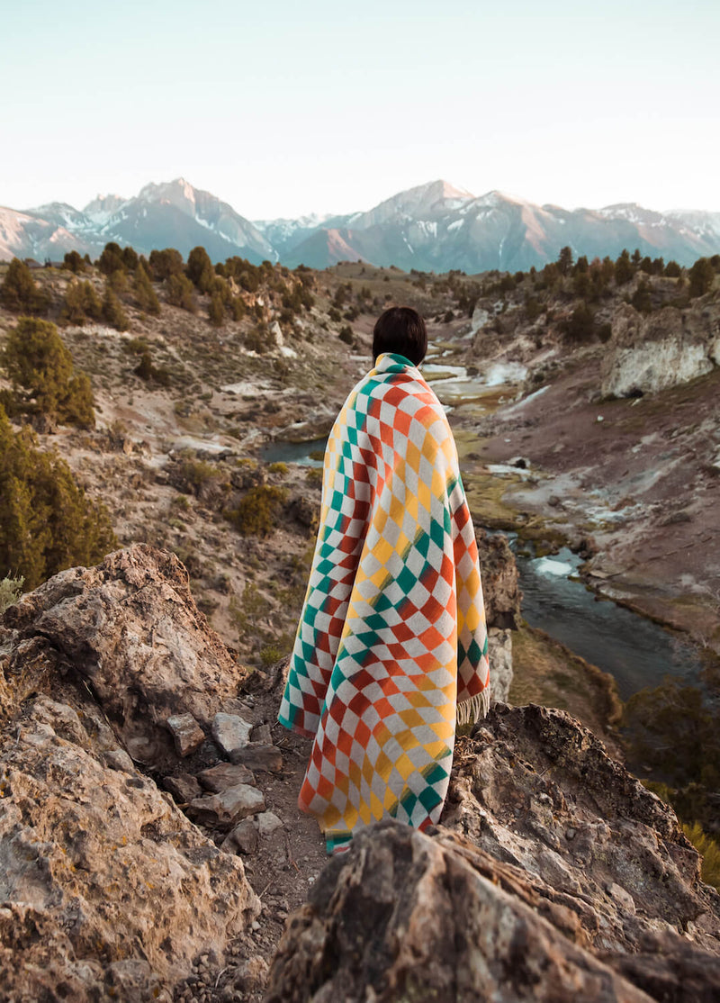 Load image into Gallery viewer, Checkered Santa Cruz
