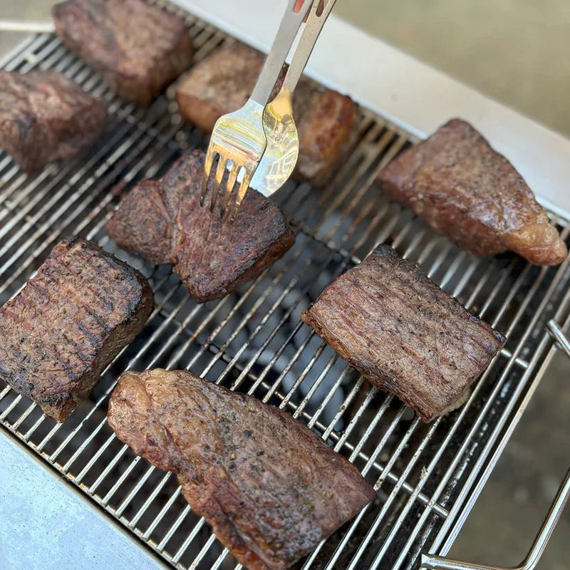 Load image into Gallery viewer, TOAKS Grill: Compact Portable Outdoor Cooking
